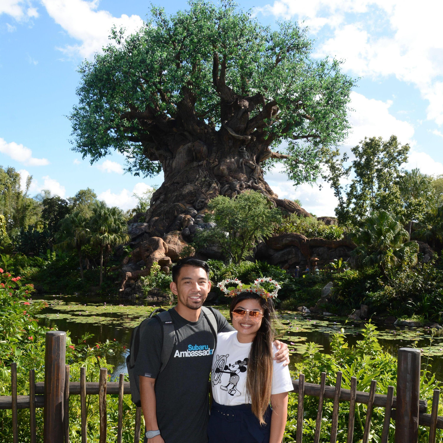 Tree of Life, Christmas 2018