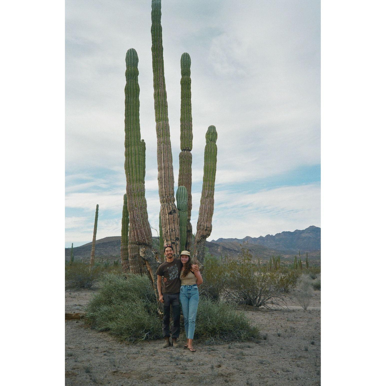 In awe of the towering Cardon cactus. First trip down to Baja, Winter of 2019-2020