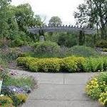 Nichols Arboretum