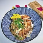 Han's Katsuya