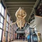 Grand Rapids Public Museum