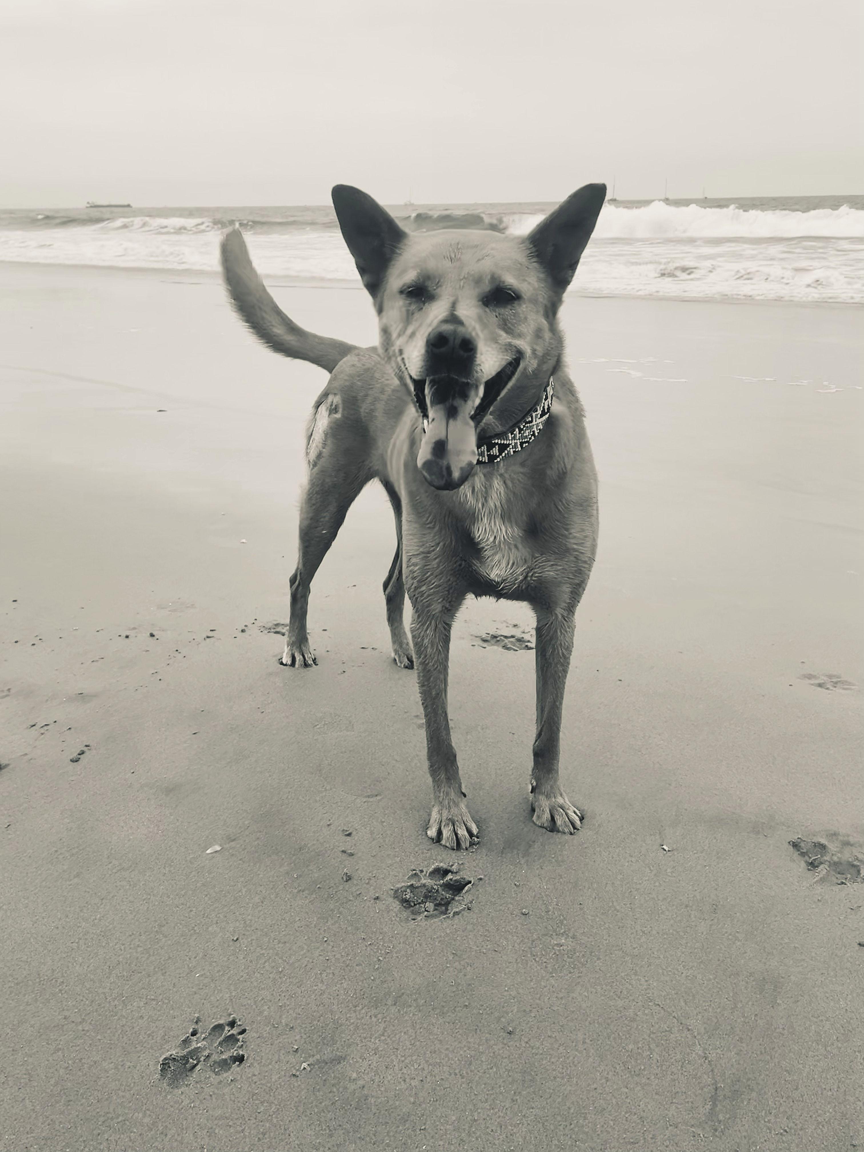 The Wedding Website of Jacqueline LeFranc-Mervin and Robin Mervin