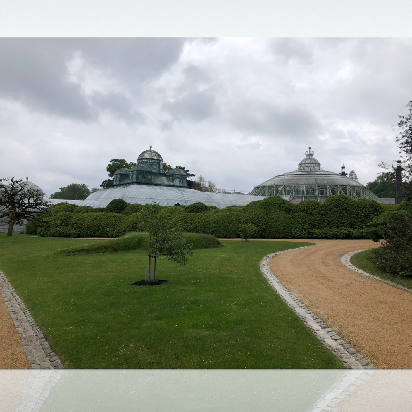 Voor een trouw in het buitenland kon het aanzoek niet Belgischer zijn, we bezochten de serres van laken aan het koninklijk paleis.
