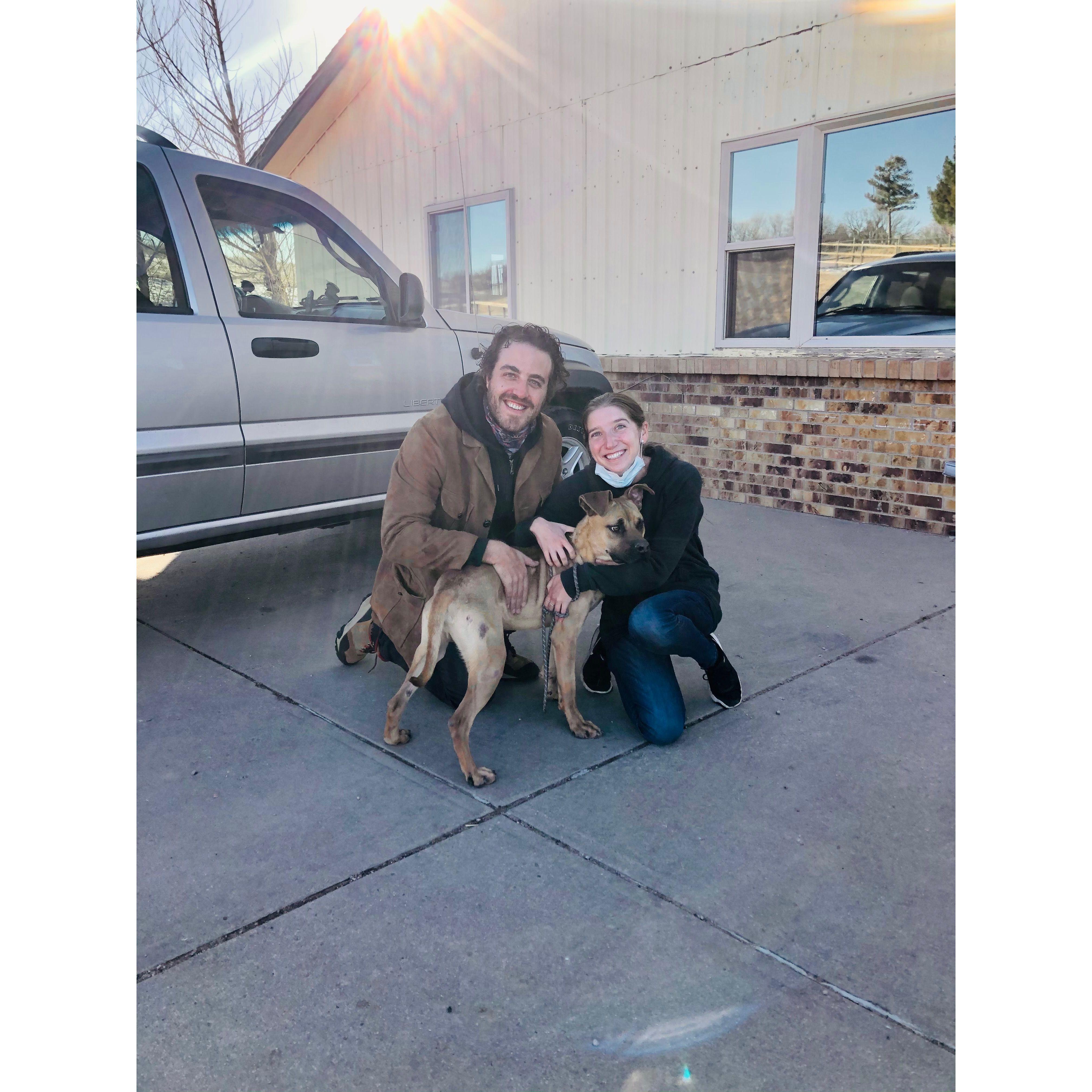 Roscoe's adoption day!