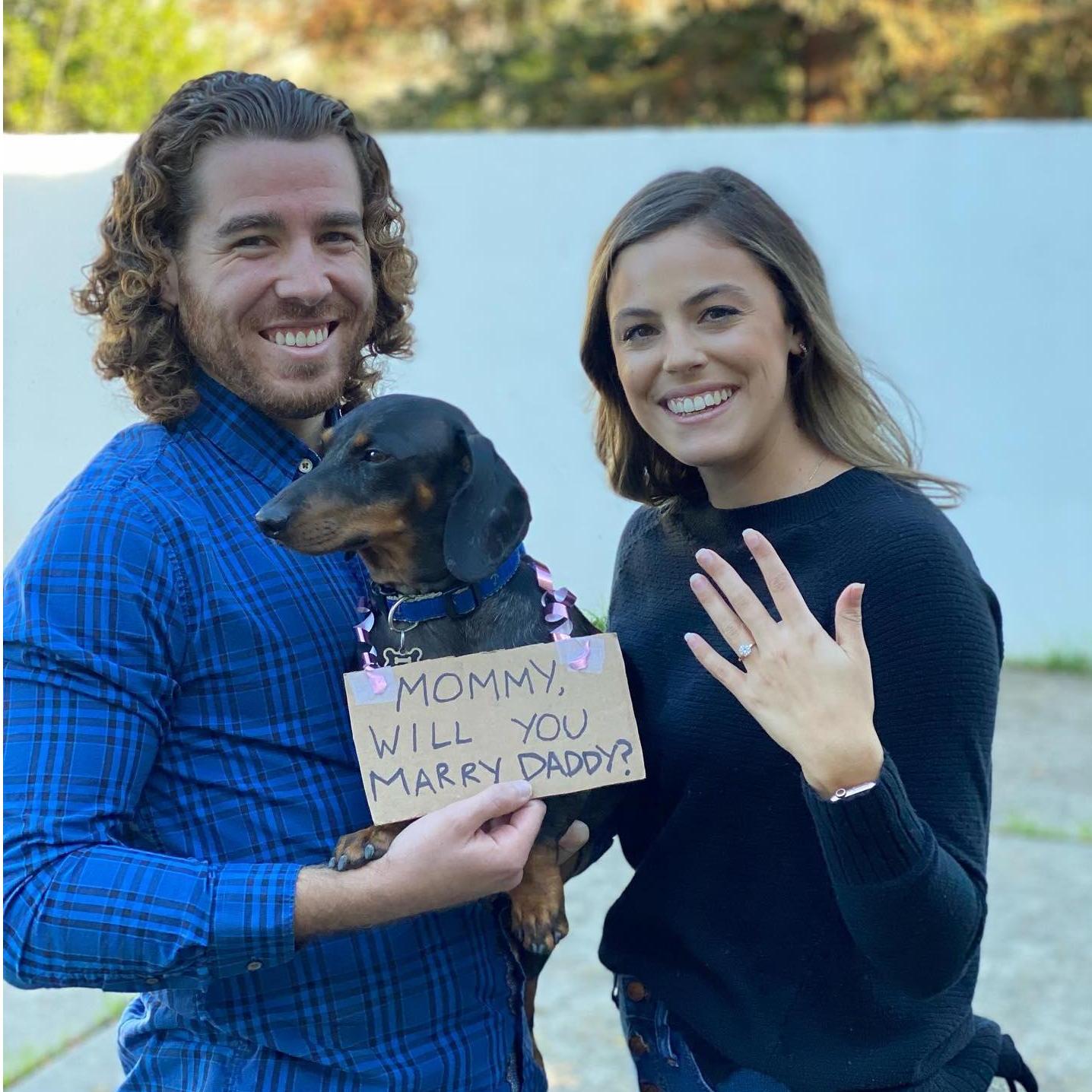 2021-- The proposal