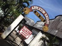 Appleton Rum Factory Tour