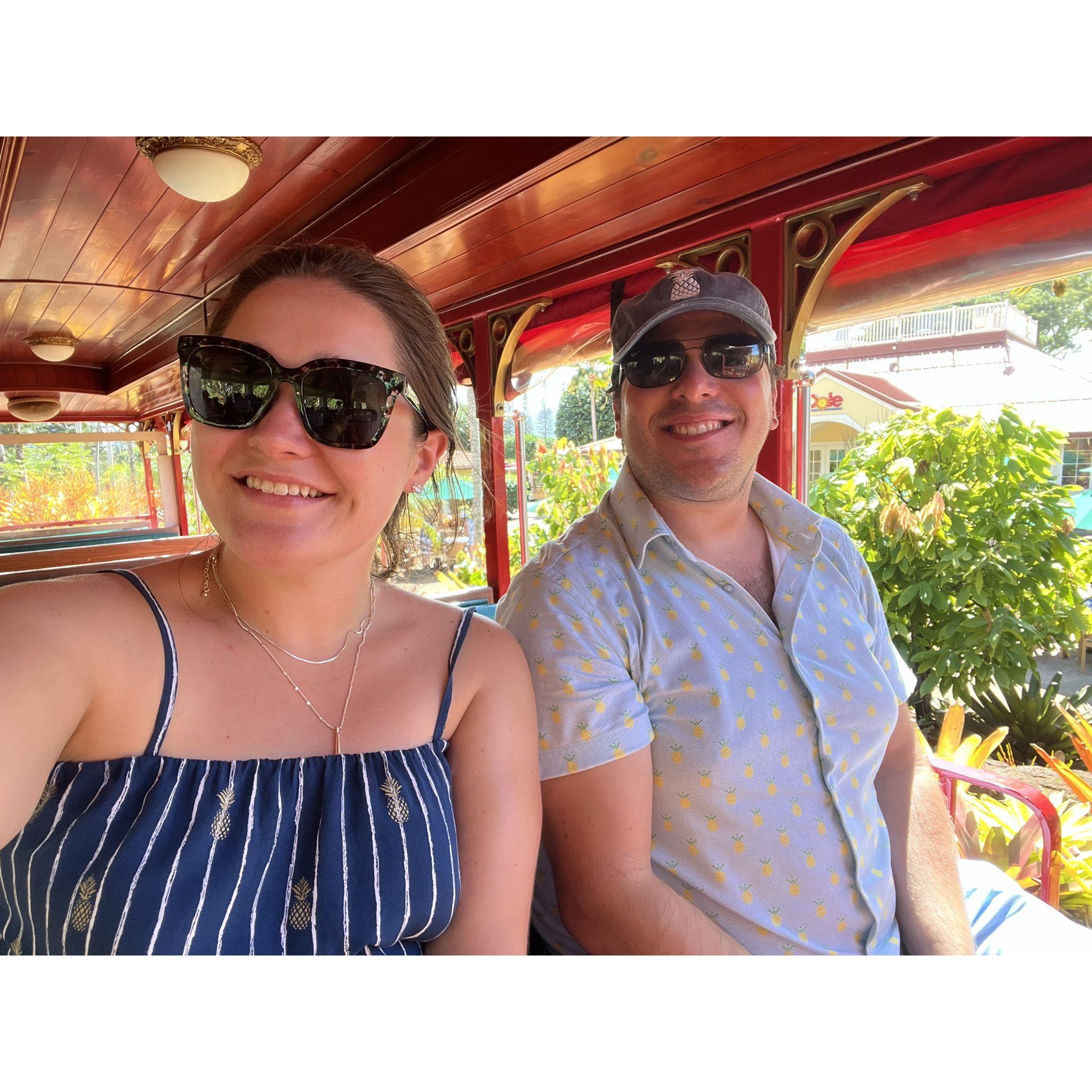 Train around the Dole Plantation.