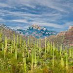 Sabino Canyon Recreation Area