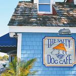 The Salty Dog Cafe