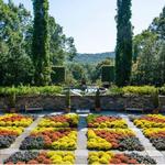 The North Carolina Arboretum