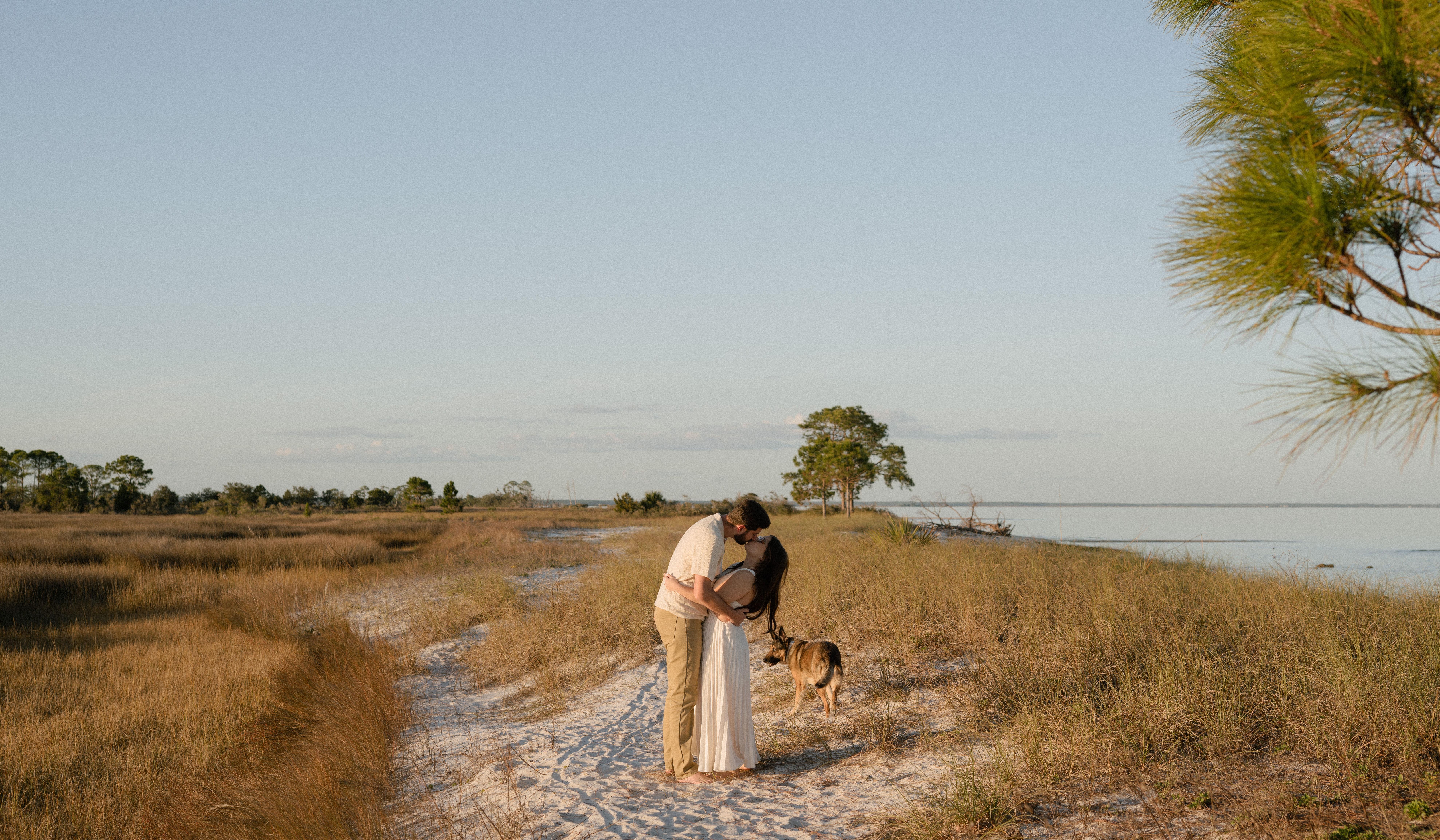 Footer image