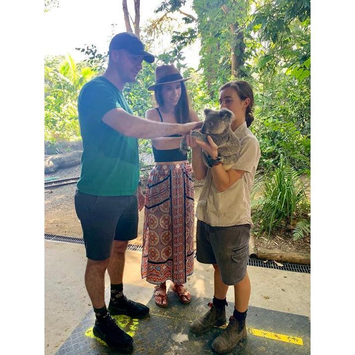 Our baby koala!
