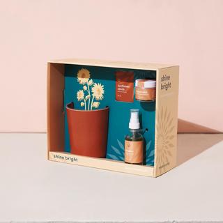 Shine Bright Radiant Positivity Kit