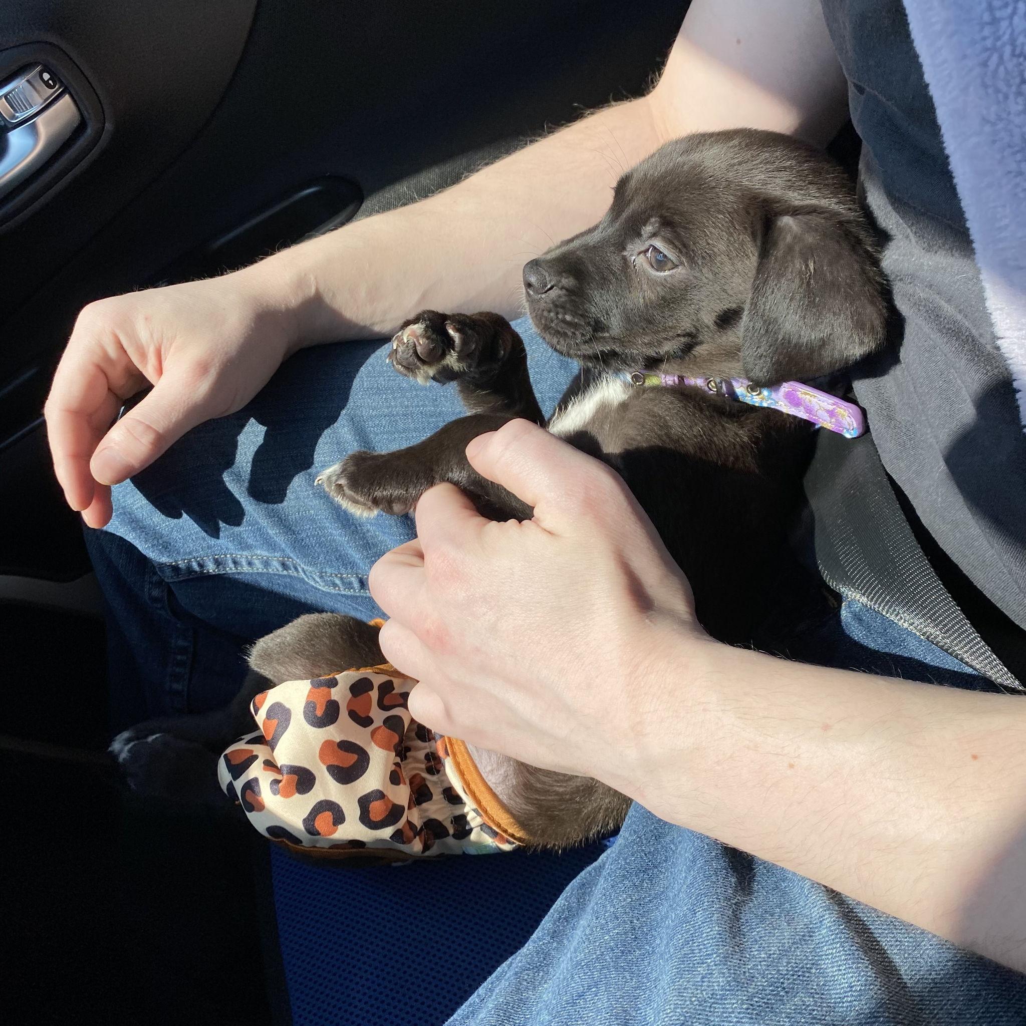 Getting our own place and growing our family
