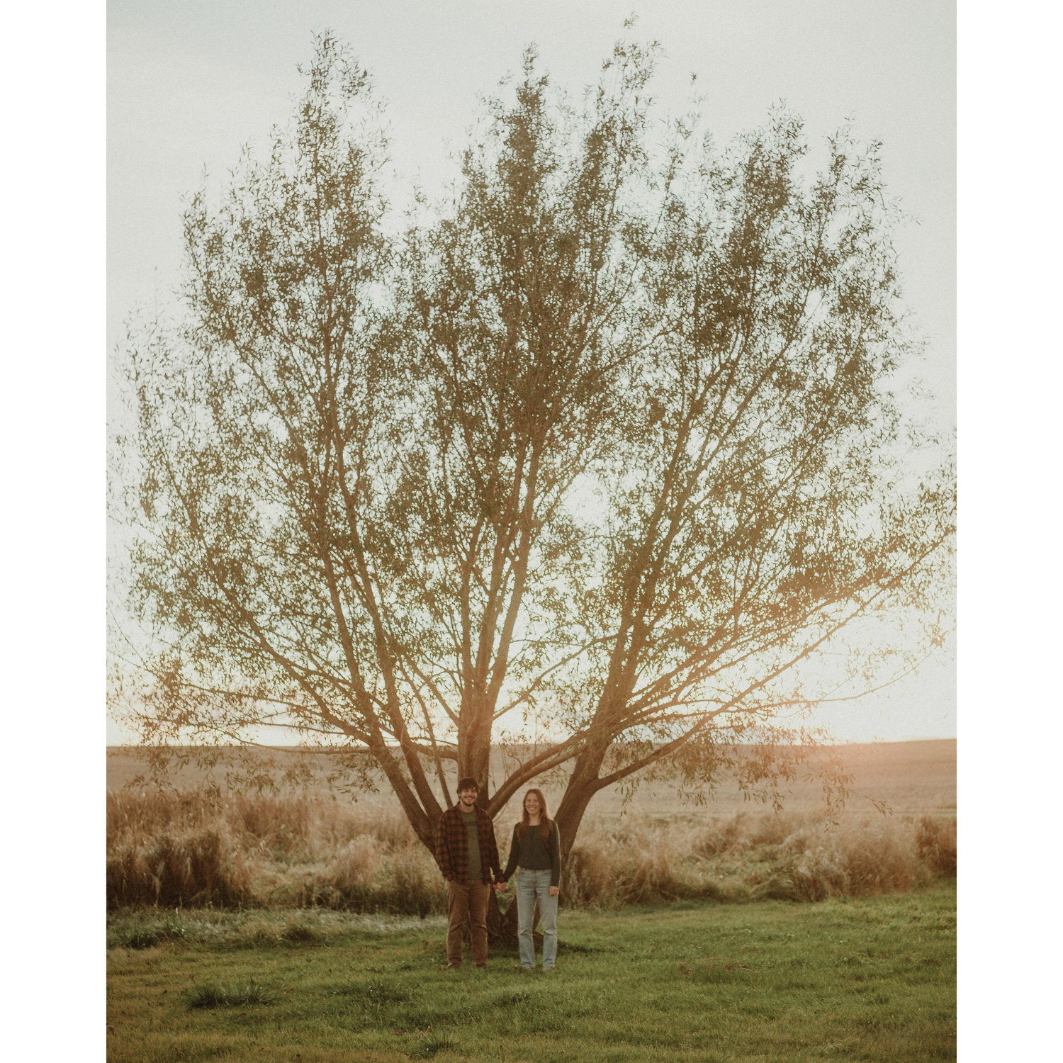 One of Marissa's favorite trees on her parents' land.