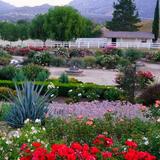Rose Haven Heritage Garden