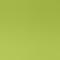 Palm Green