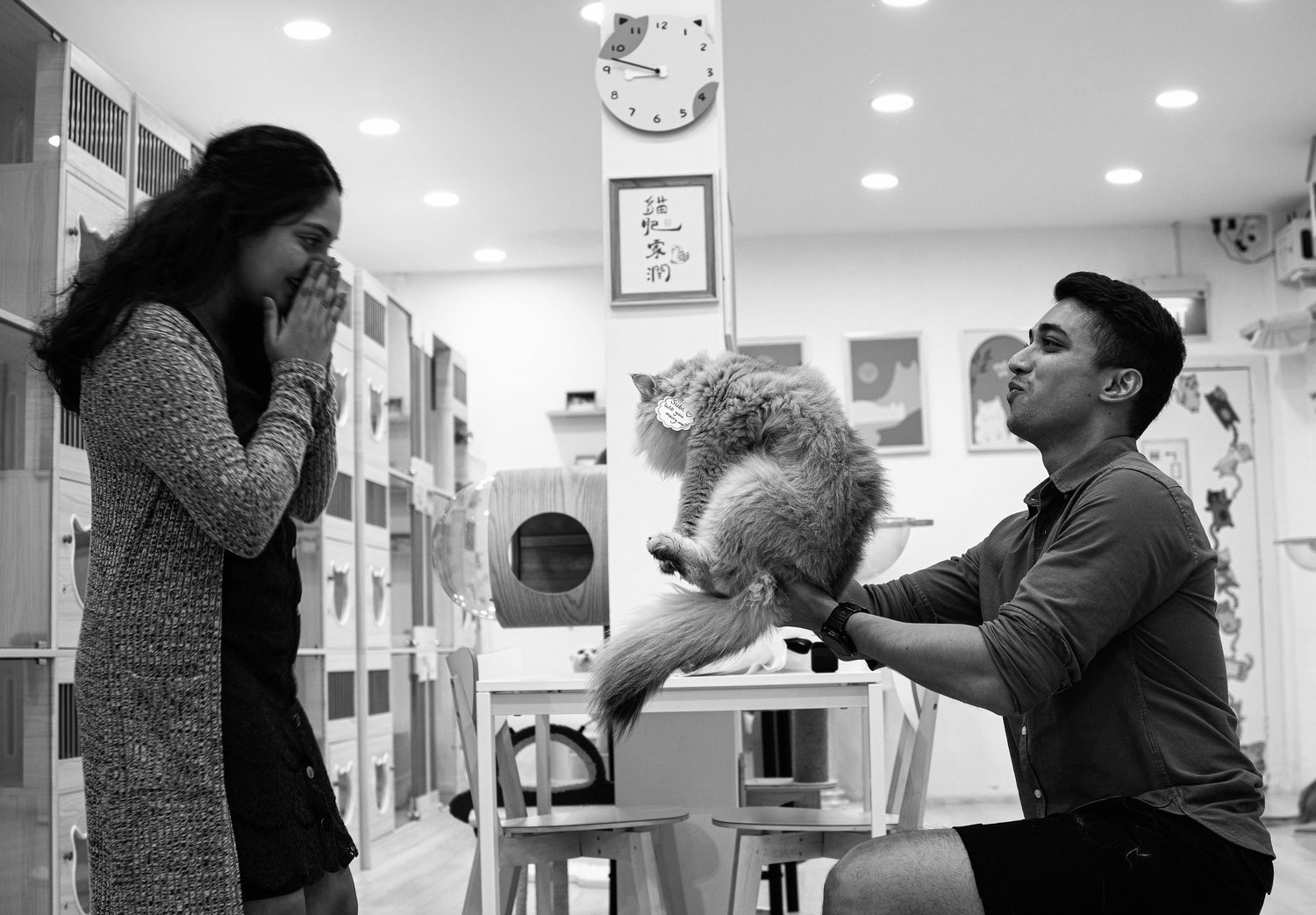The Wedding Website of Darrel and Subiksha 