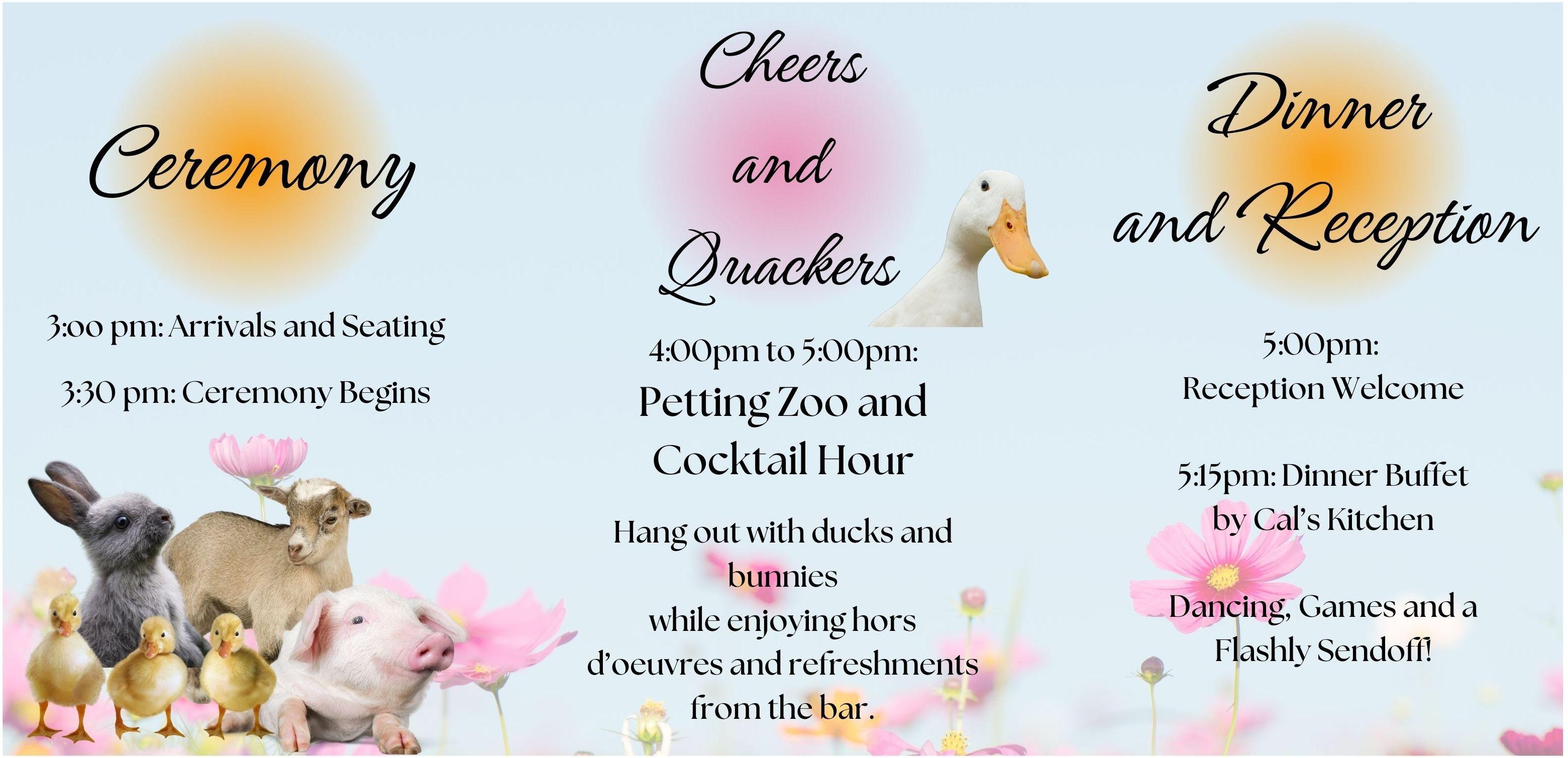 The Wedding Website of Amy Farrar and Adam Lagin