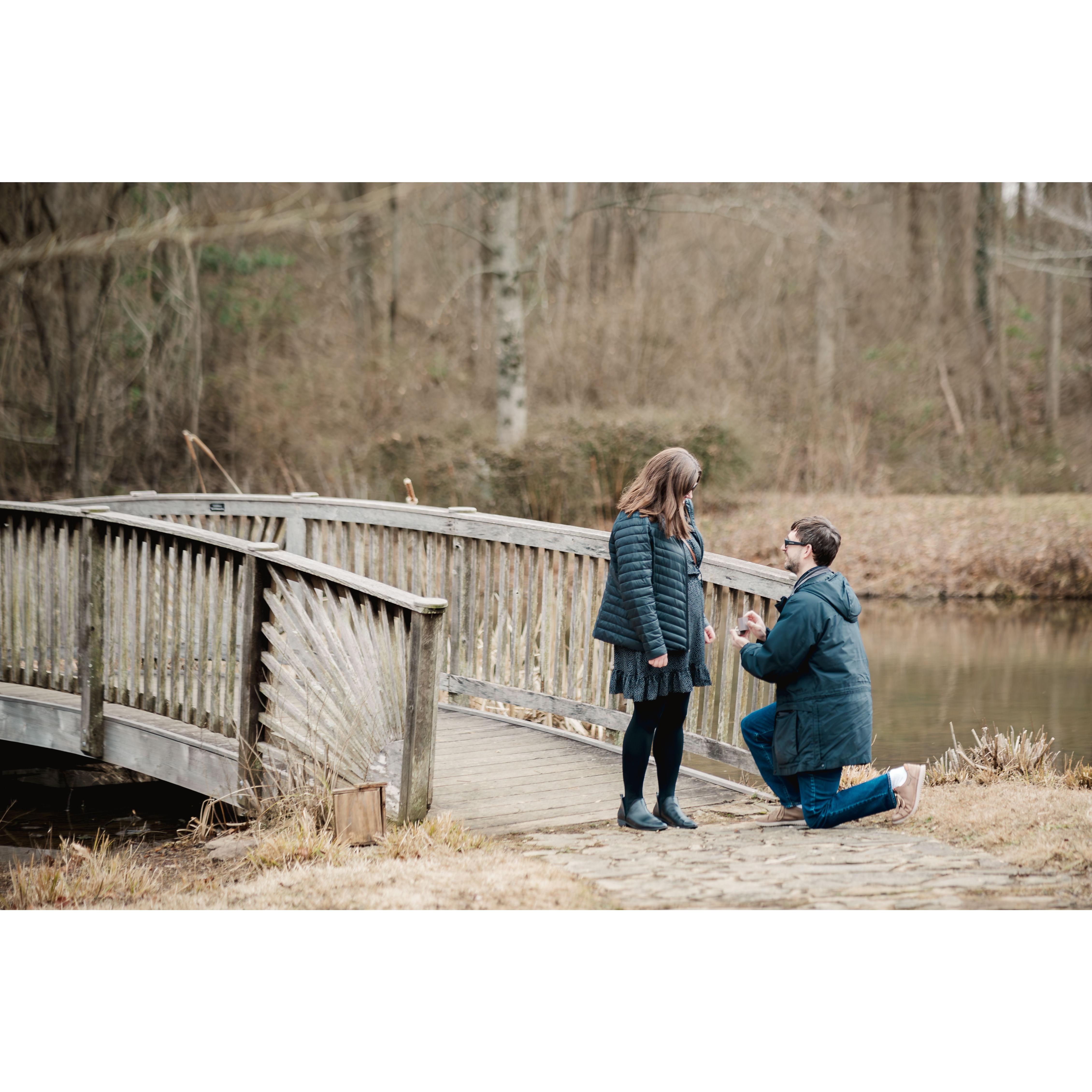 Matt proposed at Meadowlark Botanical Gardens in January 2024! Proposal photos by Victoria Neill Photography.