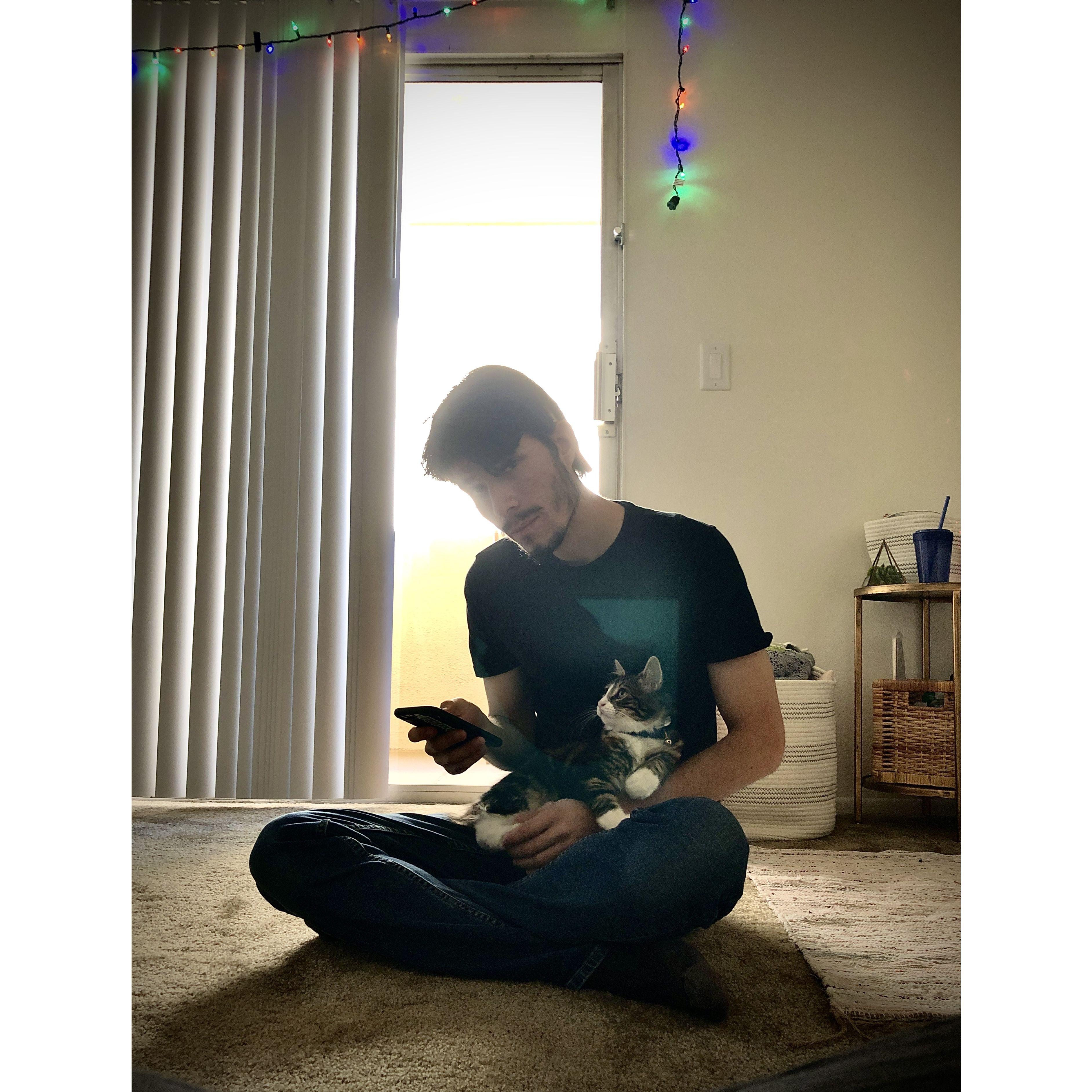 Moving into our first apartment, our first cat