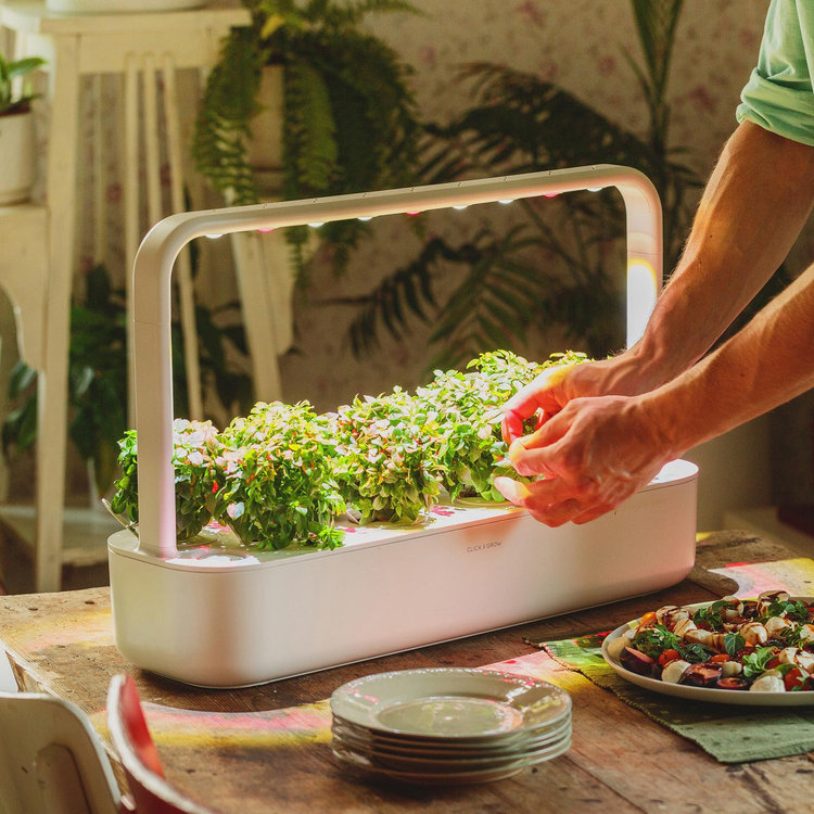 Click & Grow, Smart Garden 9 | Zola