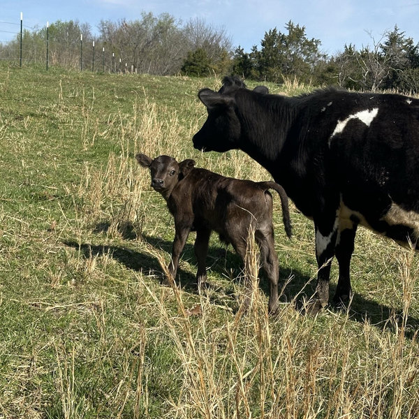 Home/Farm Fund