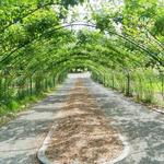 Point Defiance Park