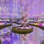 AYA — Dubai’s Immersive Light & Sound Universe- located in Wafi City