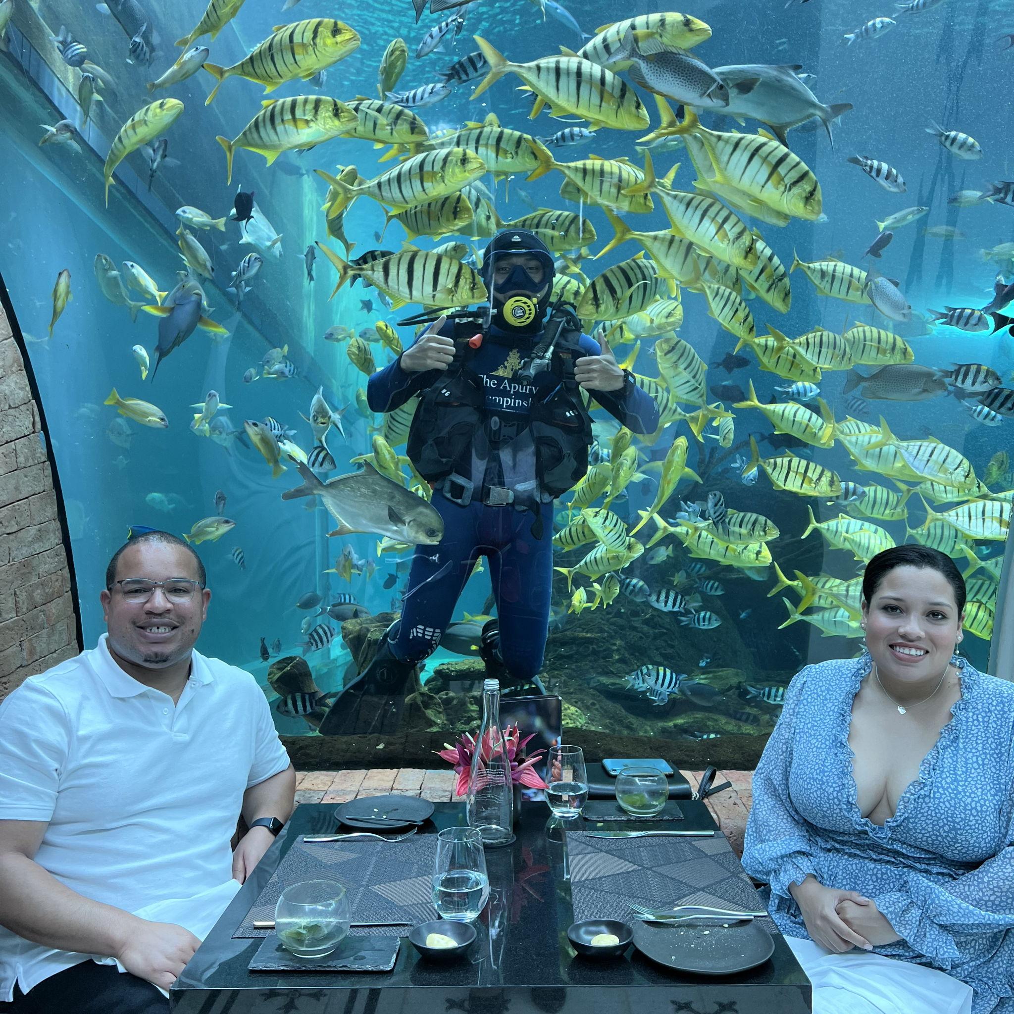 Underwater Dinner in Bali