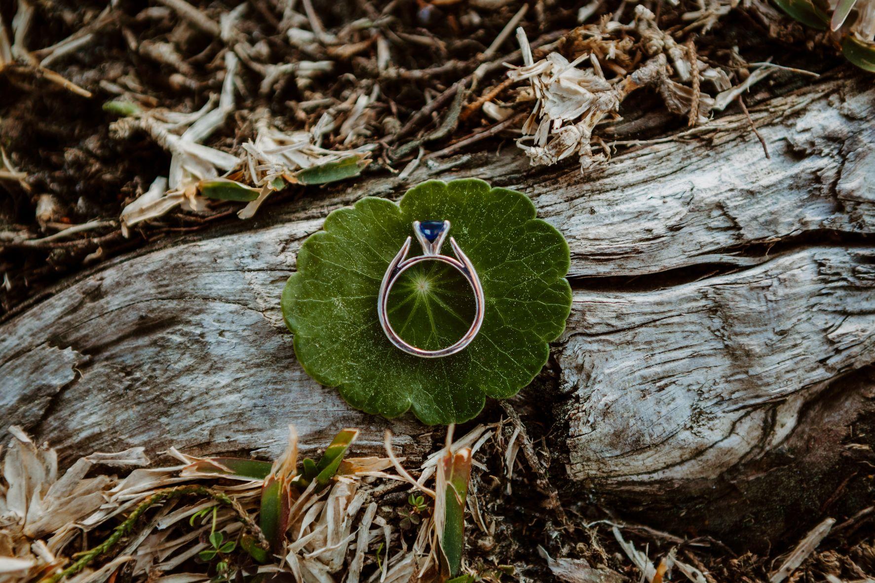 The Wedding Website of Sarah Campos and Eric O’Neill