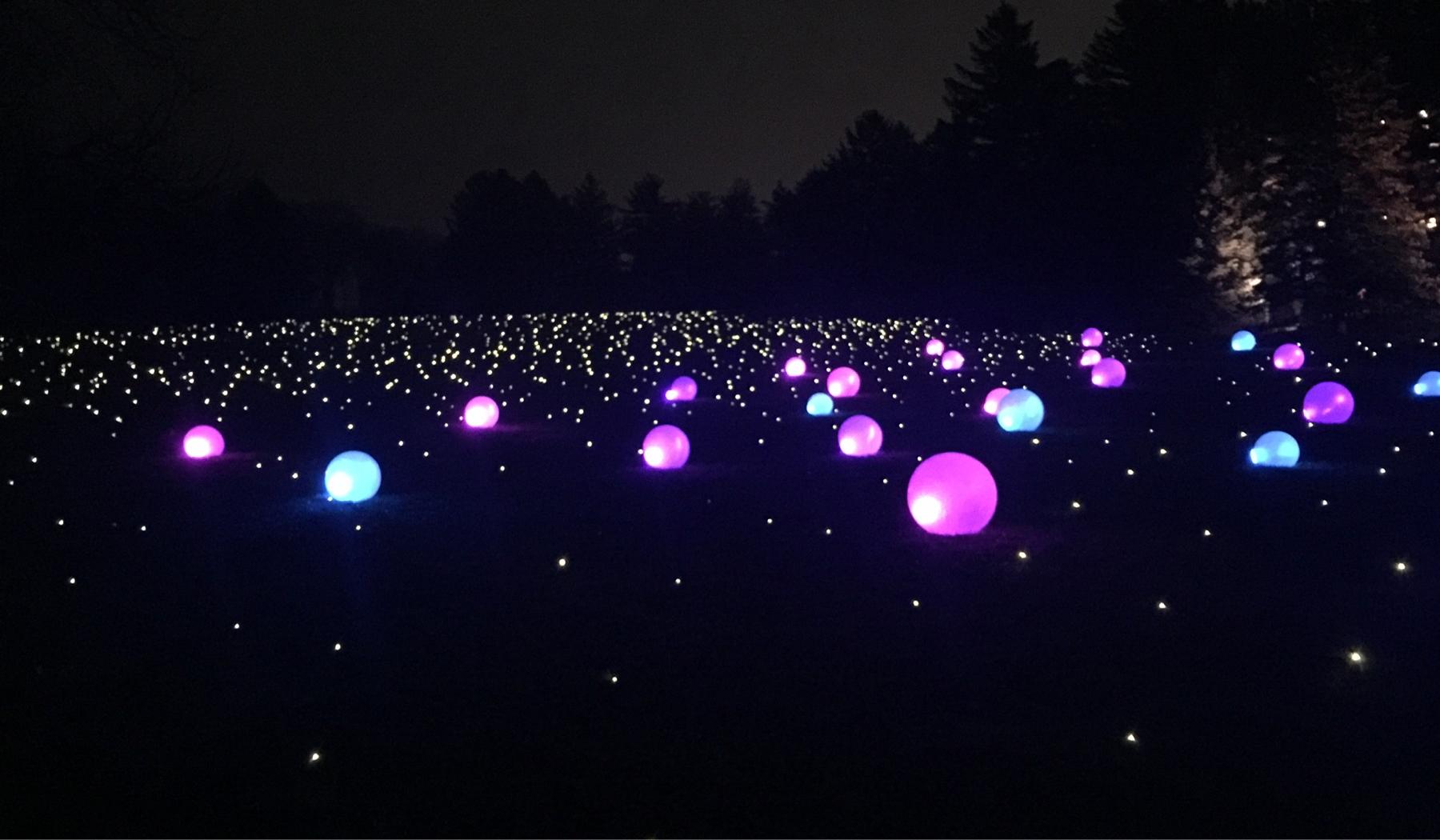 The Wedding Website of Meghann Ashman and Cameron Gould