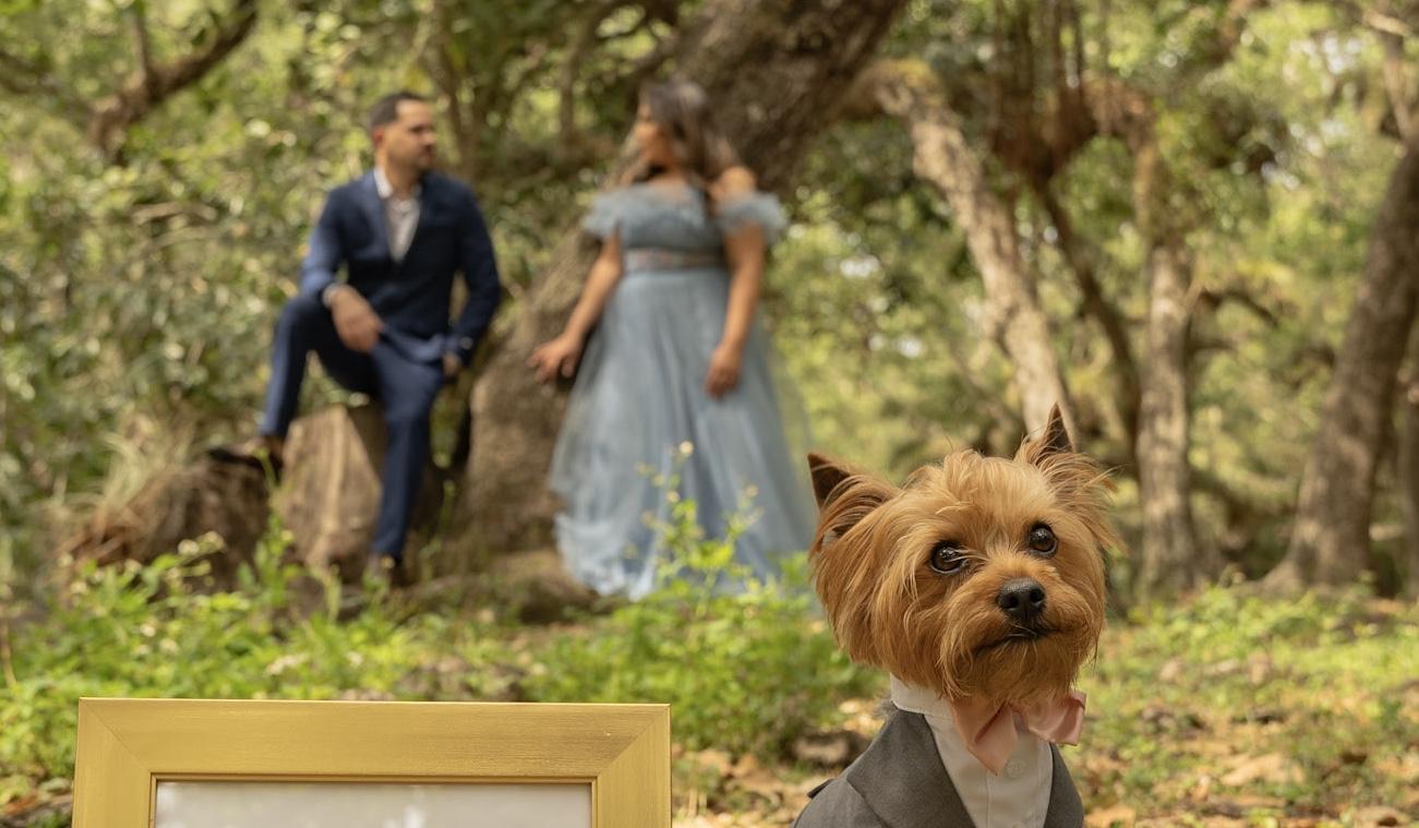 Hero Slideshow Image 1