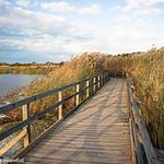 Back Bay National Wildlife Refuge