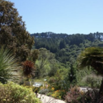 University of California Botanical Garden