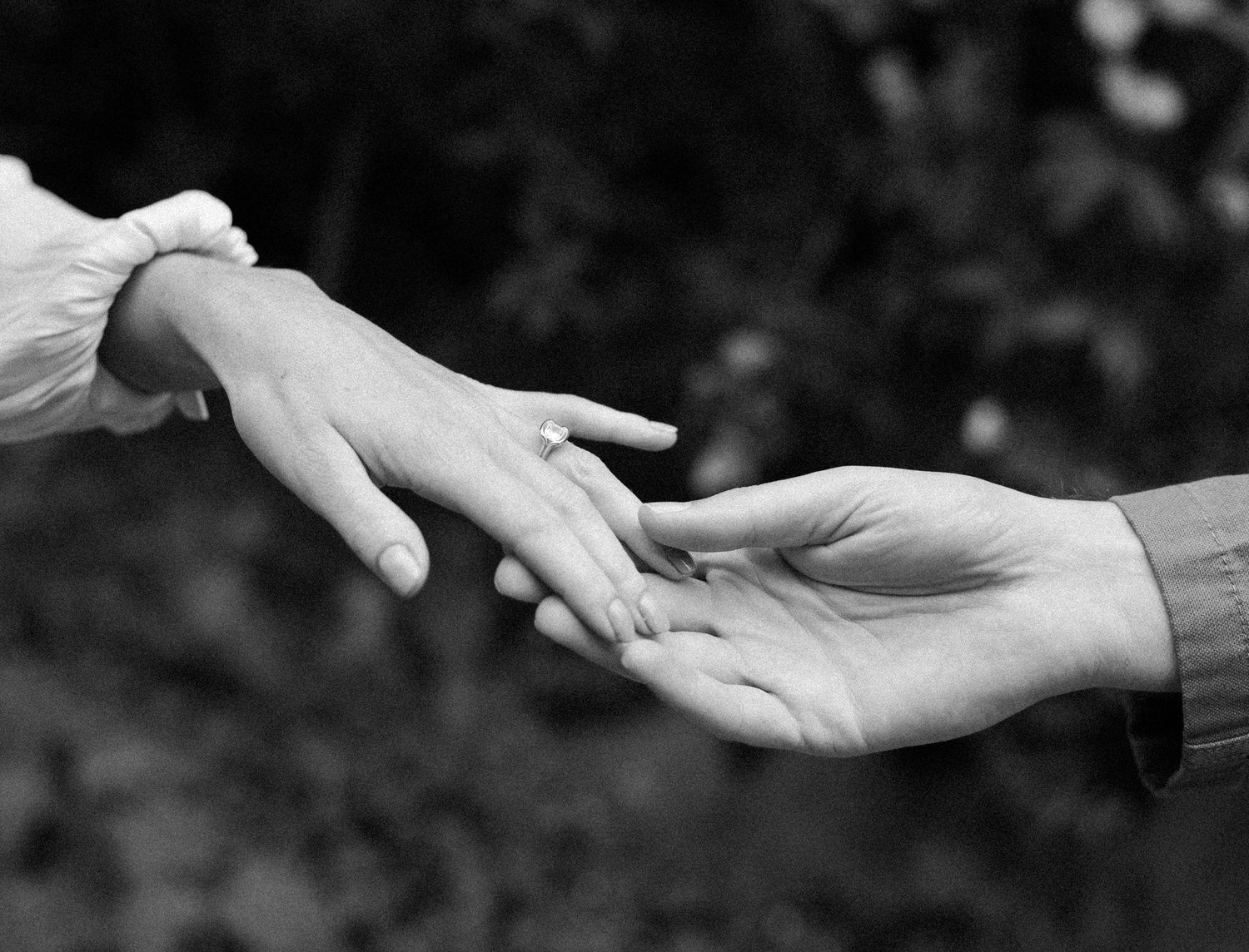 The Wedding Website of Jacob Gifford and Lauren Rudinsky