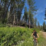 Mountain Biking & Hiking- Sun Mountaim Lodge Trails