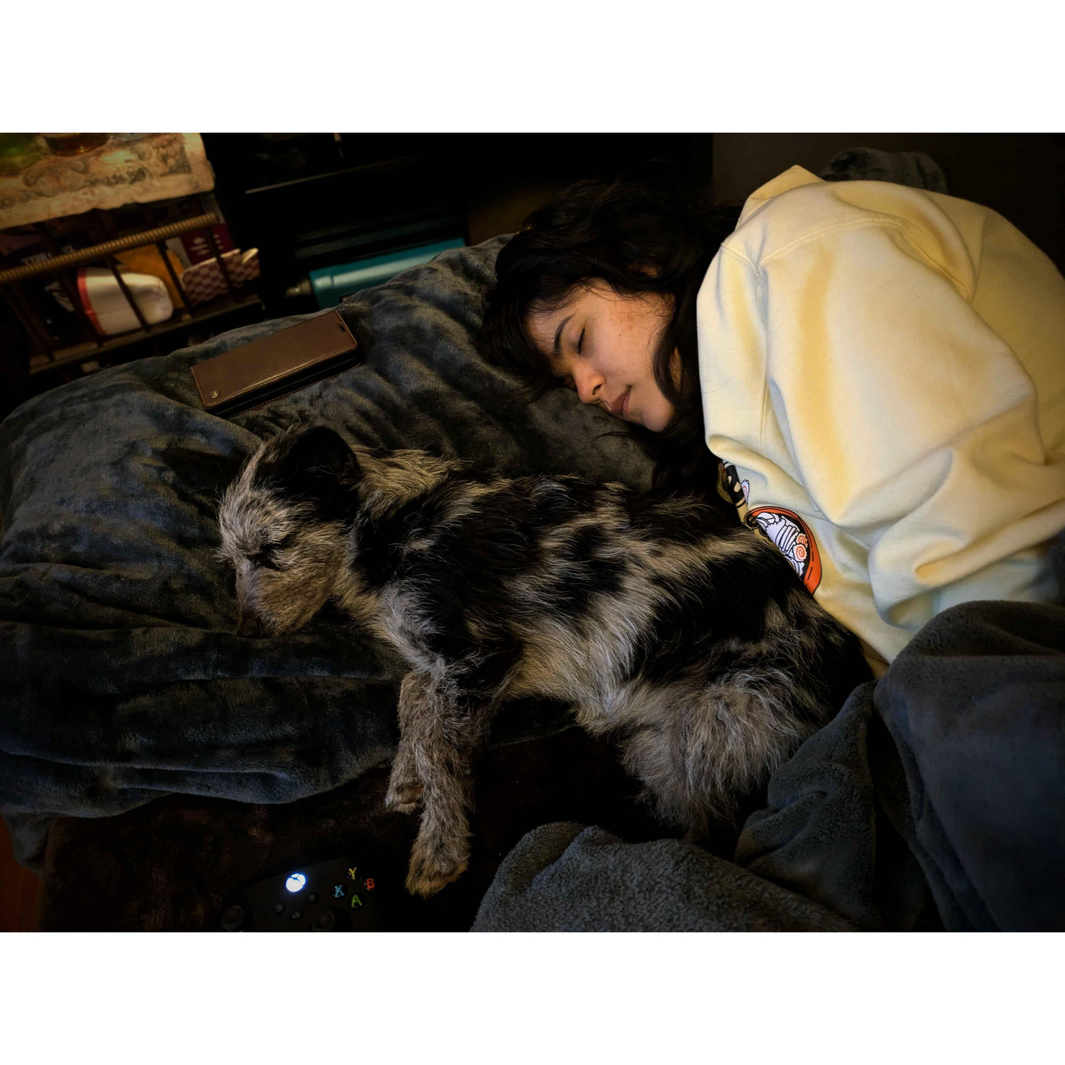 Katie took this pics, tag it as her two baby girls sleeping. Its her fav picture~