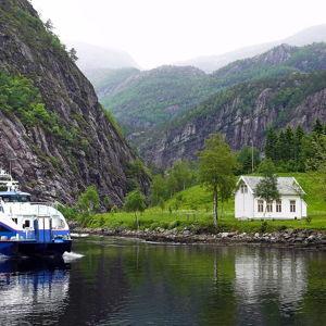 Contribute to our Fjord cruise in Bergen (honeymoon)