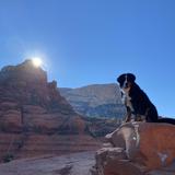 Little Horse Trail to Chicken Point and White Line