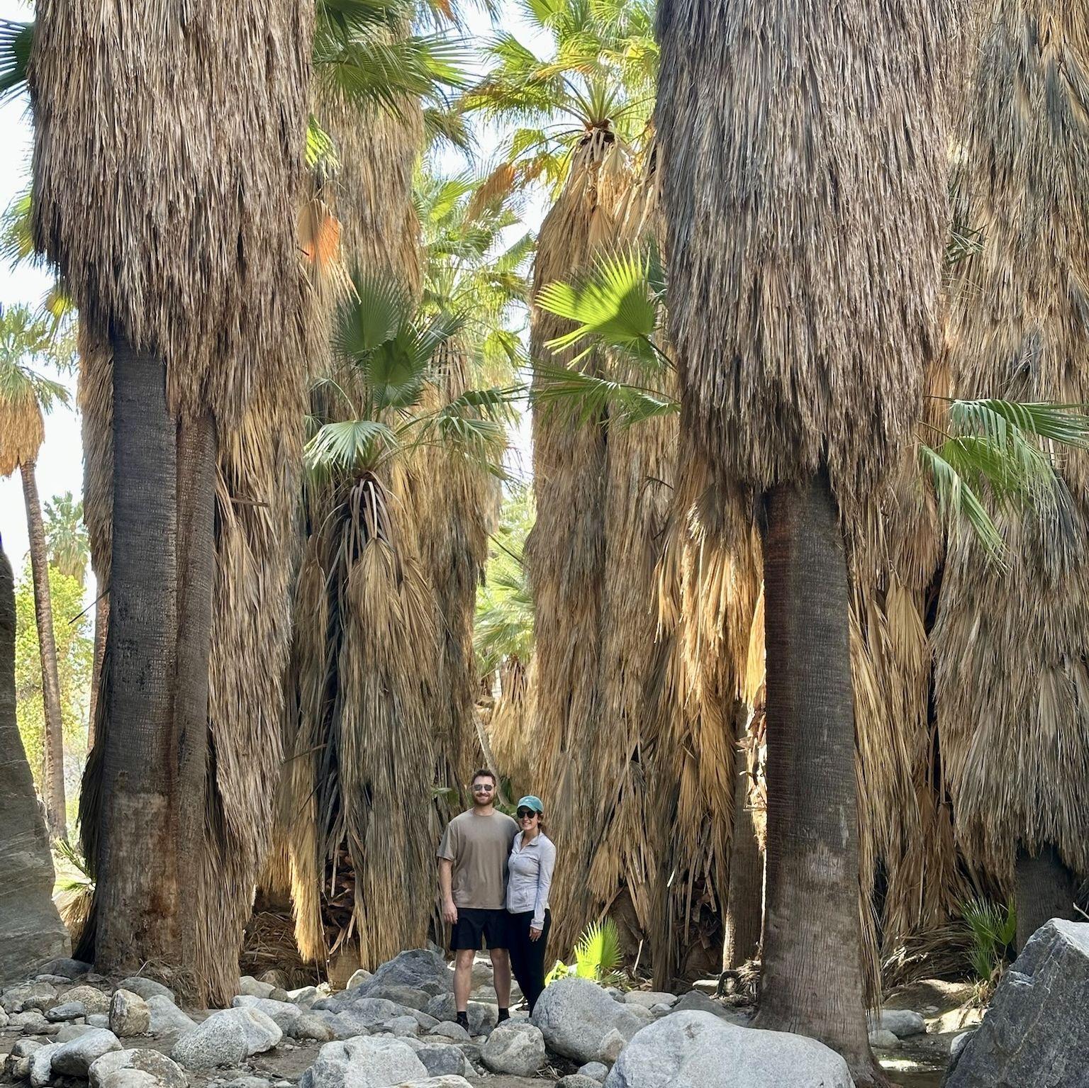 Beautiful Palm Springs hike