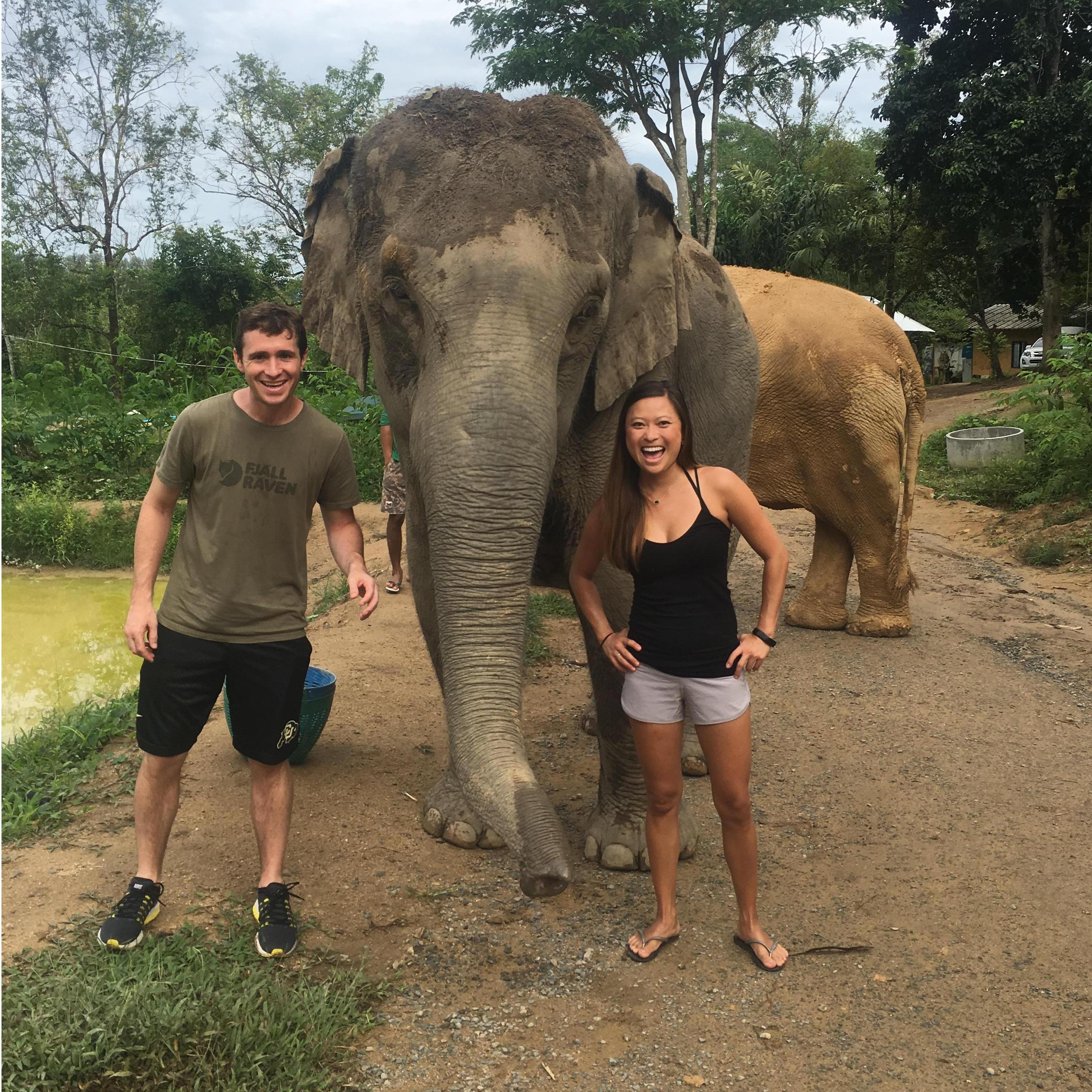 Elephant Sanctuary in Thailand