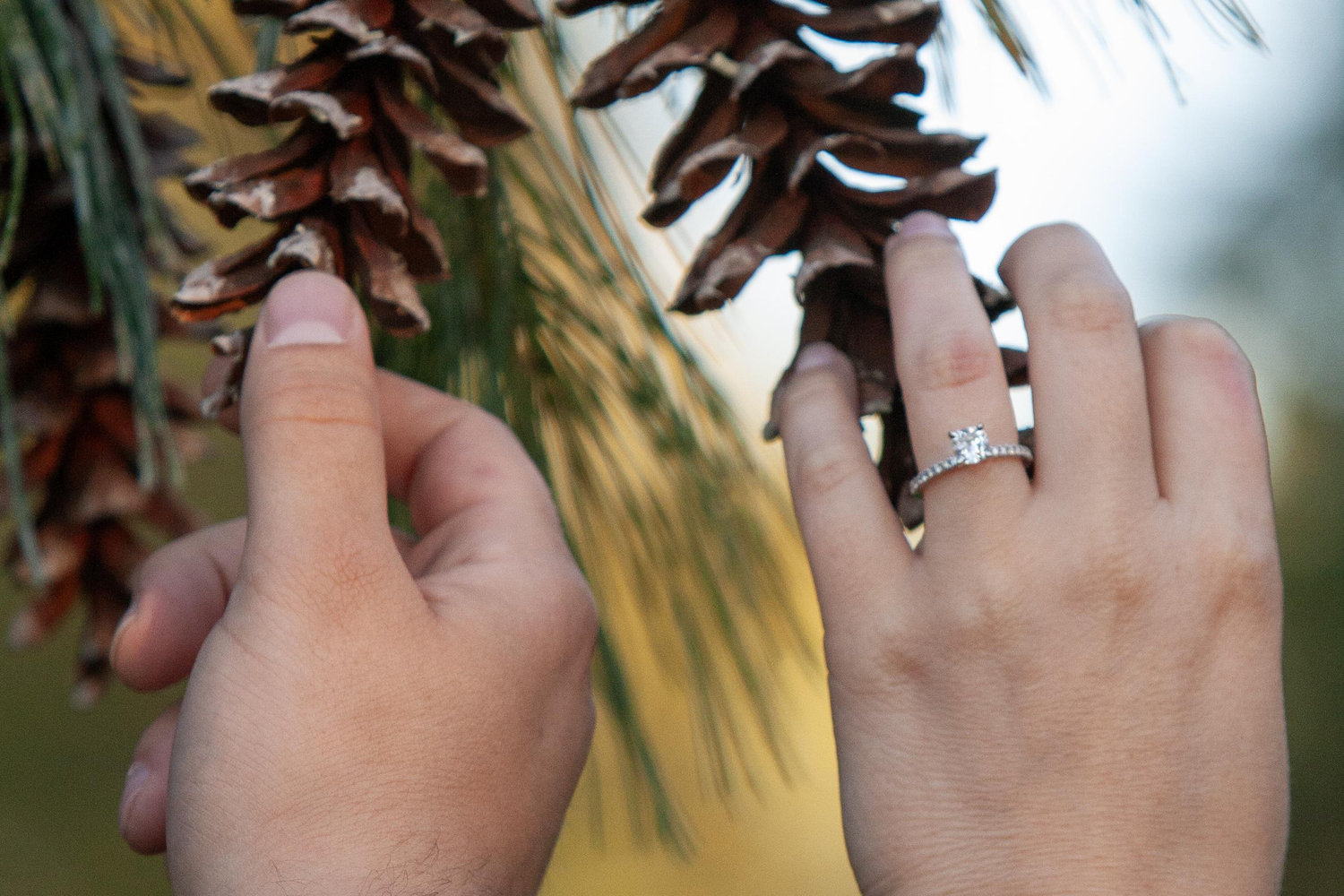 The Wedding Website of Kathryn Westfield and Kyle Olson
