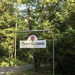 Brocklebank Craft Brewing