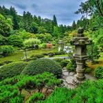 Visit the Seattle Japanese Garden