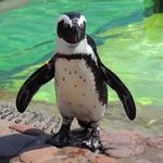 Long Island Aquarium