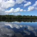 Turlough and Autograph Tree at Coole Park