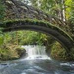 Whatcom Falls Park