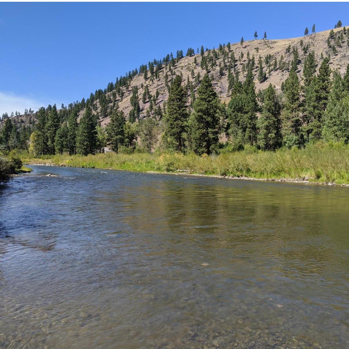 Montana