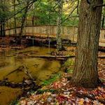 McCune Nature Trail